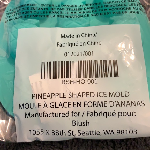 Blush Pineapple Shaped Ice Mold - Picture 4 of 4